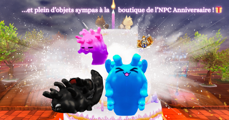 Plus d'objets d'anniversaire FR 2025