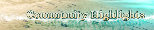 Community Highlights