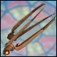 Stargazer Claws Lucky Box
