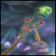 Blossom Wand Lucky Box