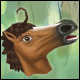 Horse Head (Permanent)