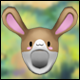 Mocha Bunny Pack (Permanent)