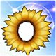 Sunflower Smiles (30 Days)
