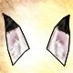 Oreilles de Renard arctique (8% Précision)(5% Crit)(30 Jours)