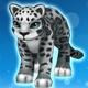 Sonia the Snow Leopard (Speed 200)(Permanent)