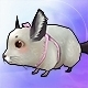 Peek, the Chinchilla (Speed 240)(30 days) Peek, the Chinchilla (Speed 240)(30 days)