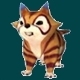 Waschbär (Permanent)