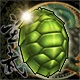 Schildkrötenpanzer (+5% Krit)(30 Tage)